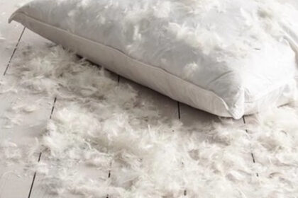 fillers of pillow